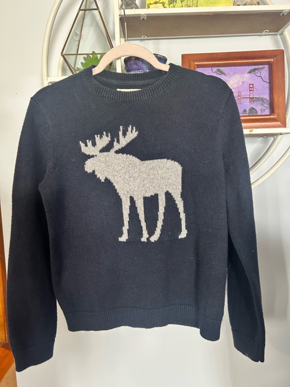Abercrombie Kids 13/14 Boys Youth Blue Moose Crewneck Sweater
